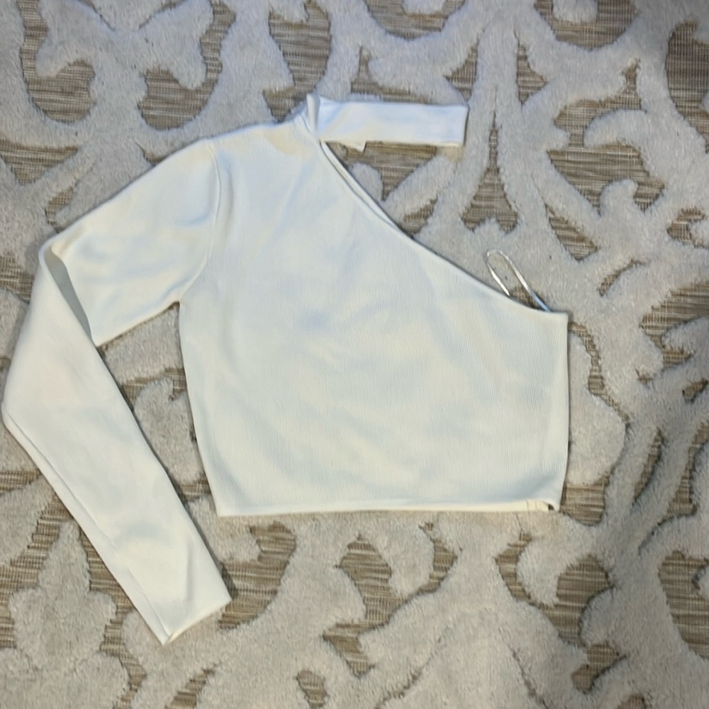 Endless Rose One Sleeve/Choker Top